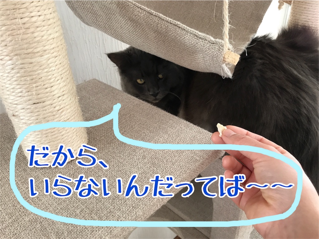 f:id:bellbelona39:20180303231602j:image