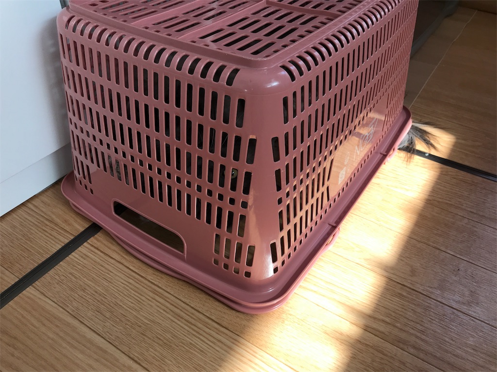 f:id:bellbelona39:20180304160650j:image