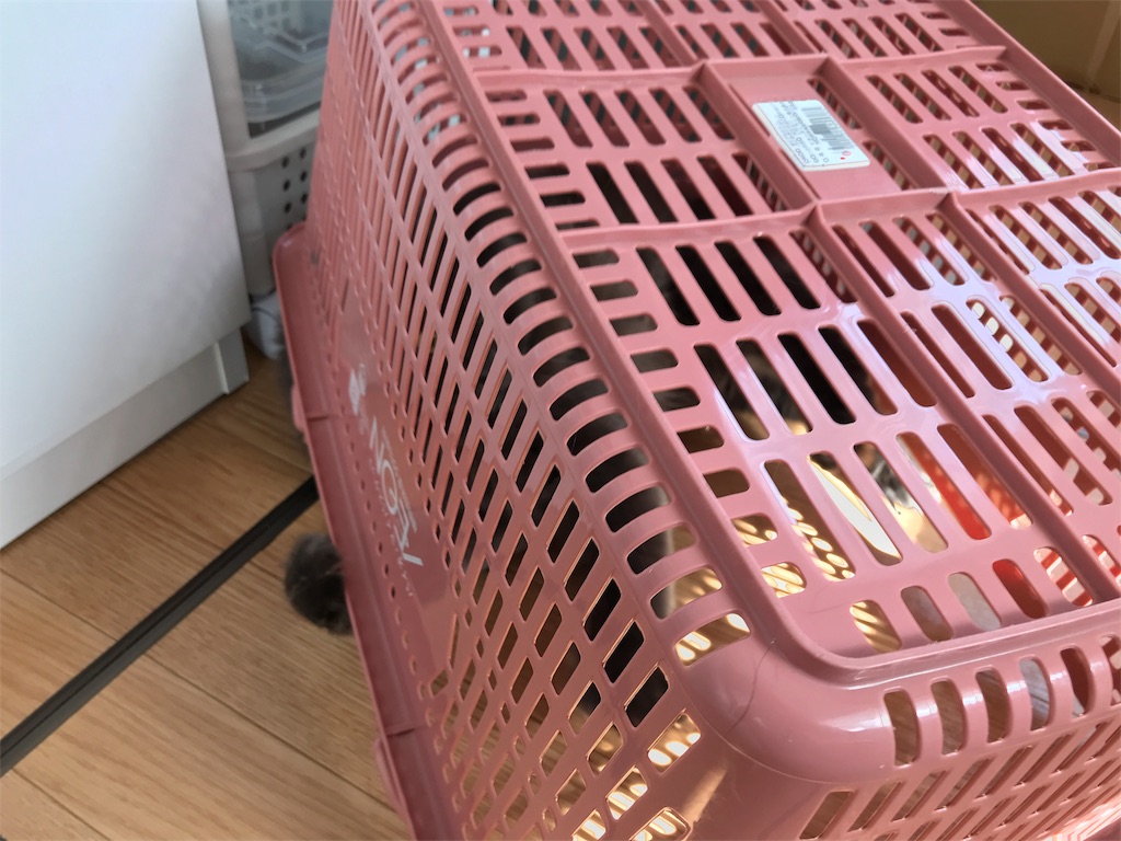 f:id:bellbelona39:20180304160957j:image