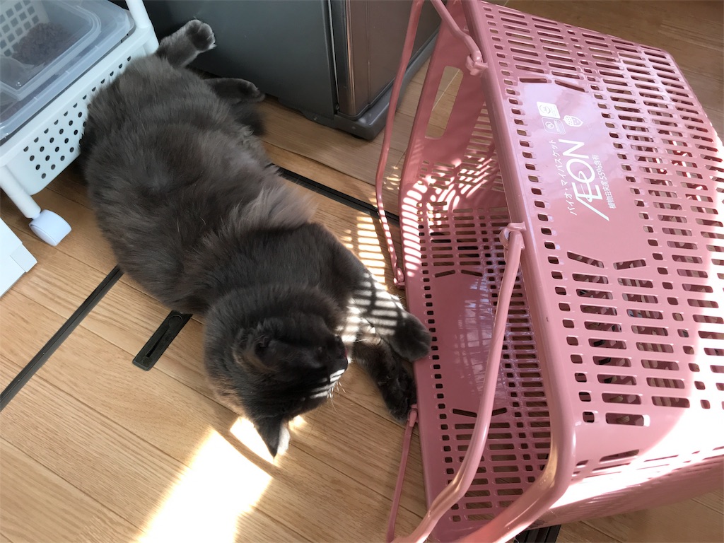 f:id:bellbelona39:20180304161122j:image