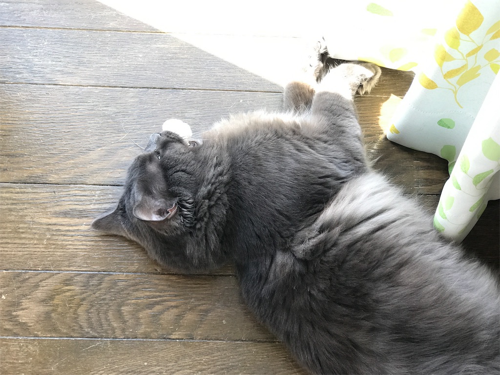 f:id:bellbelona39:20180310120611j:image