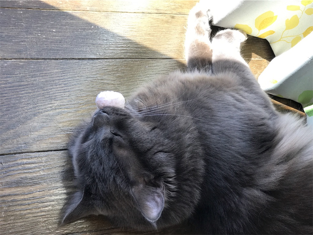 f:id:bellbelona39:20180310120638j:image