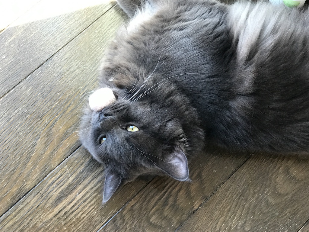 f:id:bellbelona39:20180310120655j:image