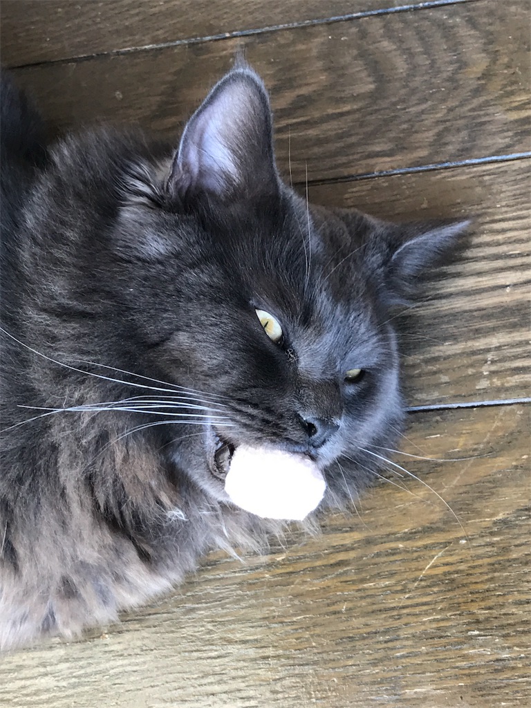 f:id:bellbelona39:20180310120842j:image