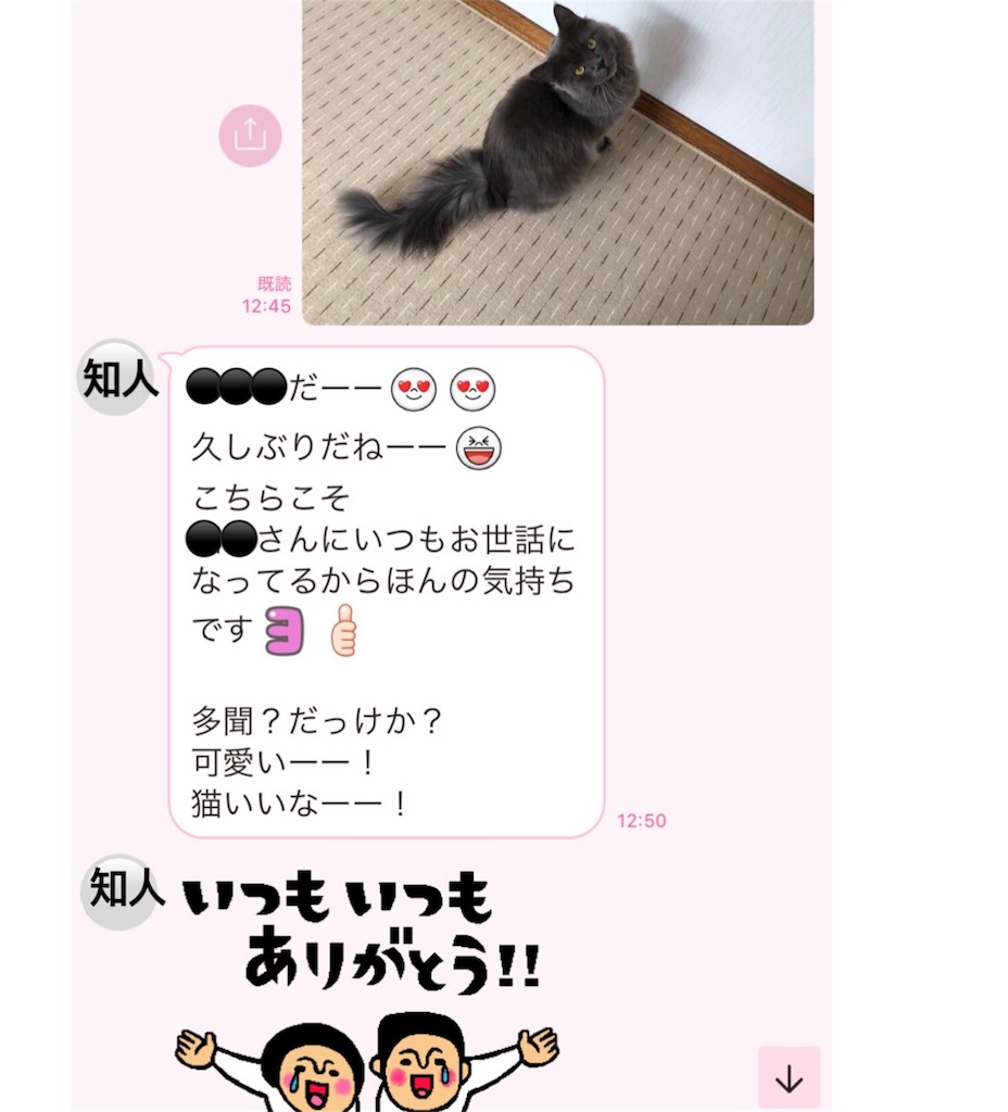 f:id:bellbelona39:20180314151541j:image f:id:bellbelona39:20180314151541j:image