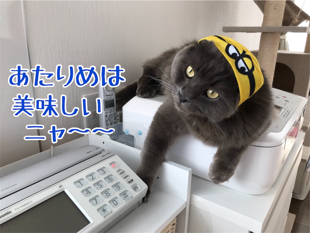 f:id:bellbelona39:20180317220434j:image