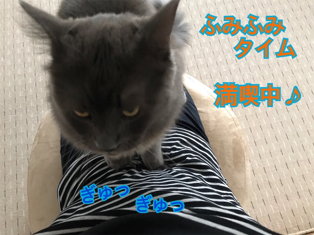 f:id:bellbelona39:20180319130040j:image f:id:bellbelona39:20180319130040j:image