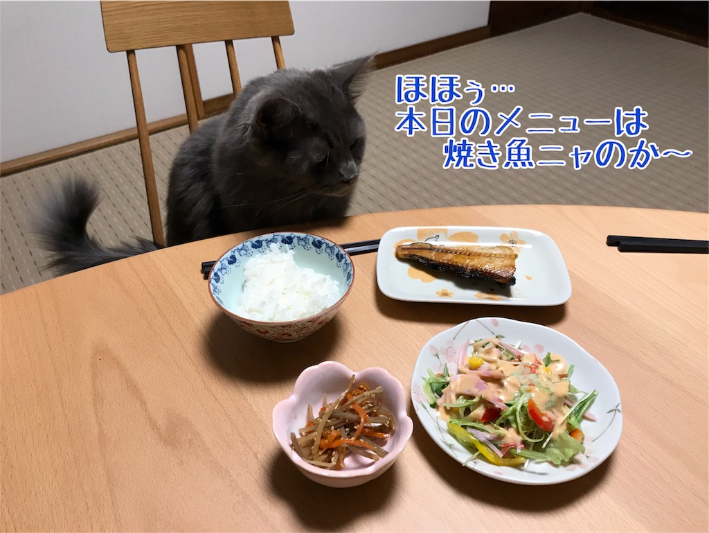 f:id:bellbelona39:20180330193126j:image f:id:bellbelona39:20180330193126j:image