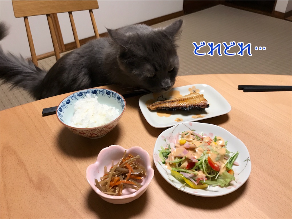 f:id:bellbelona39:20180330193254j:image f:id:bellbelona39:20180330193254j:image