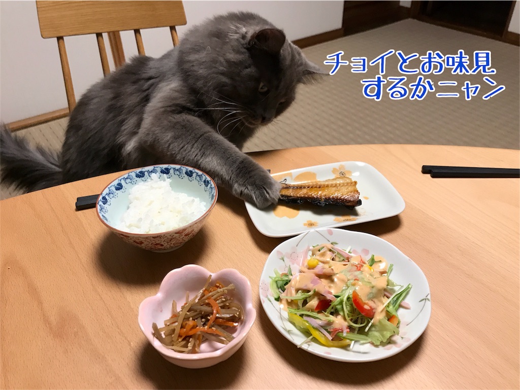 f:id:bellbelona39:20180330193350j:image f:id:bellbelona39:20180330193350j:image