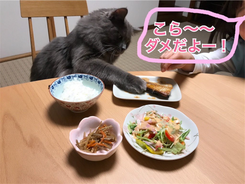 f:id:bellbelona39:20180330193458j:image f:id:bellbelona39:20180330193458j:image