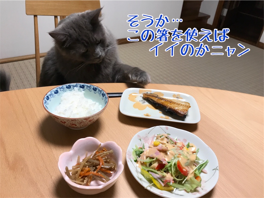 f:id:bellbelona39:20180330193535j:image f:id:bellbelona39:20180330193535j:image
