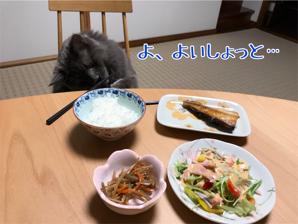 f:id:bellbelona39:20180330193545j:image f:id:bellbelona39:20180330193545j:image