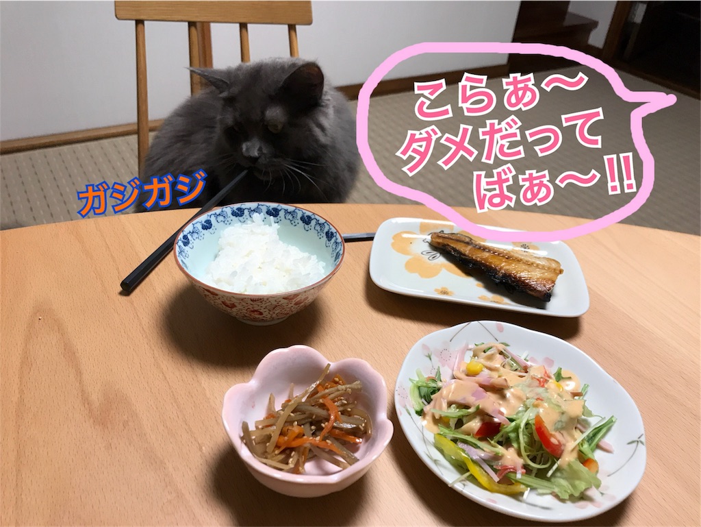f:id:bellbelona39:20180330193611j:image f:id:bellbelona39:20180330193611j:image