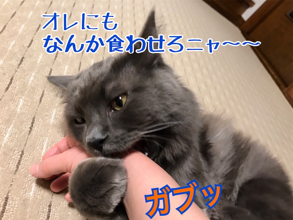 f:id:bellbelona39:20180330195627j:image f:id:bellbelona39:20180330195627j:image