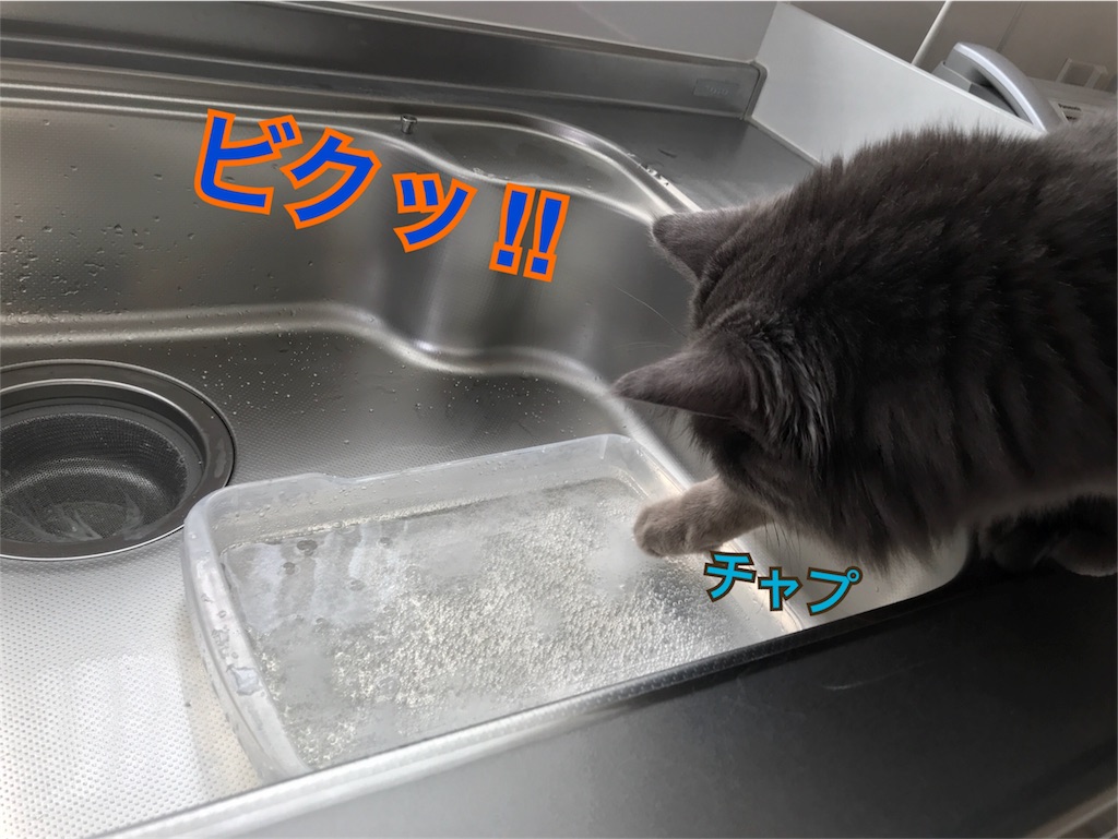 f:id:bellbelona39:20180401175223j:image f:id:bellbelona39:20180401175223j:image