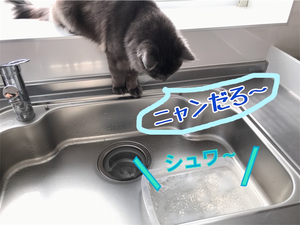 f:id:bellbelona39:20180401185329j:image f:id:bellbelona39:20180401185329j:image