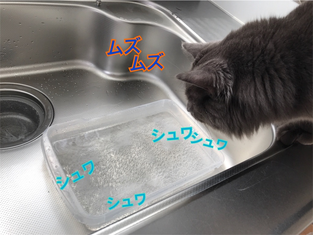 f:id:bellbelona39:20180401185404j:image f:id:bellbelona39:20180401185404j:image