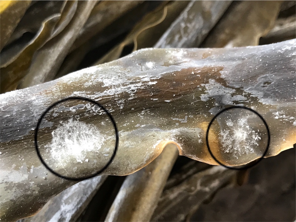 f:id:bellbelona39:20180413125827j:image