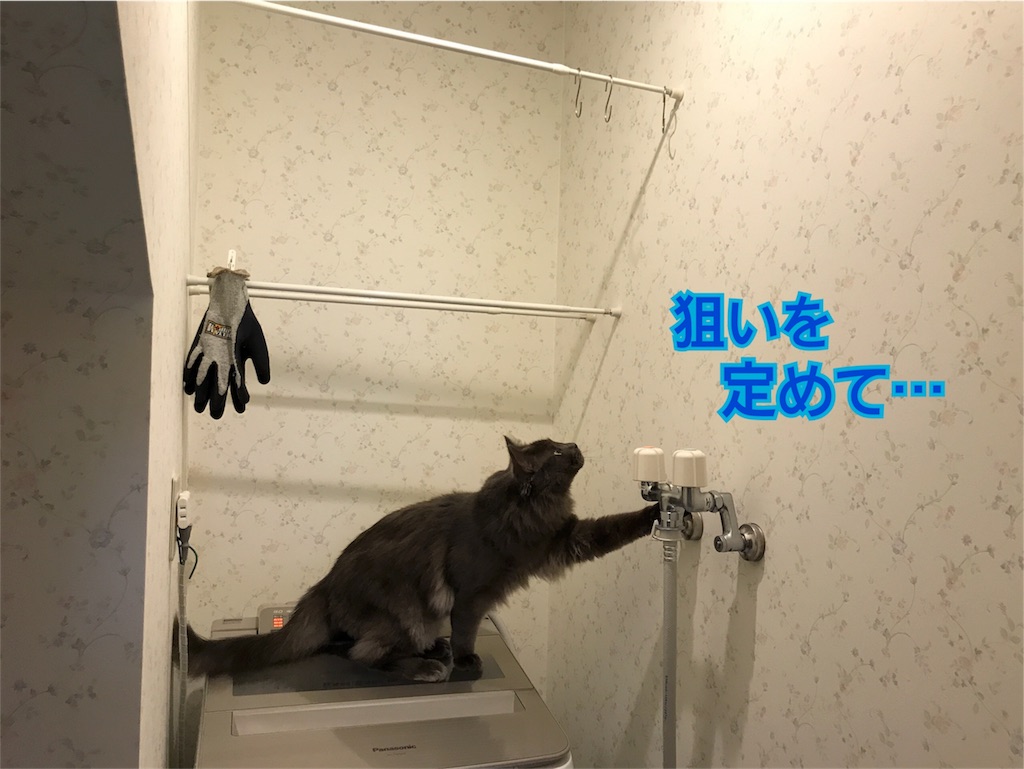 f:id:bellbelona39:20180419205432j:image f:id:bellbelona39:20180419205432j:image