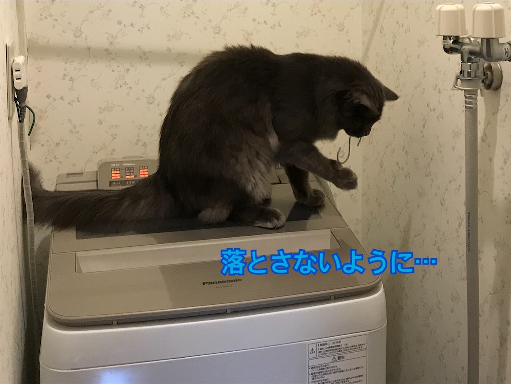 f:id:bellbelona39:20180419205648j:image f:id:bellbelona39:20180419205648j:image