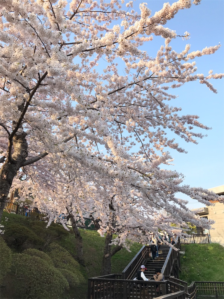 f:id:bellbelona39:20180429233125j:image