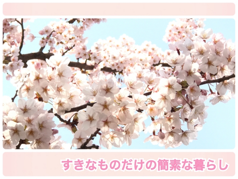 柔軟剤と保冷剤で手作り芳香剤 家にあるモノだけで超簡単に作れます すきなものだけの簡素な暮らし 柔軟剤と保冷剤で手作り芳香剤 家にあるモノだけで超簡単に作れます すきなものだけの簡素な暮らし