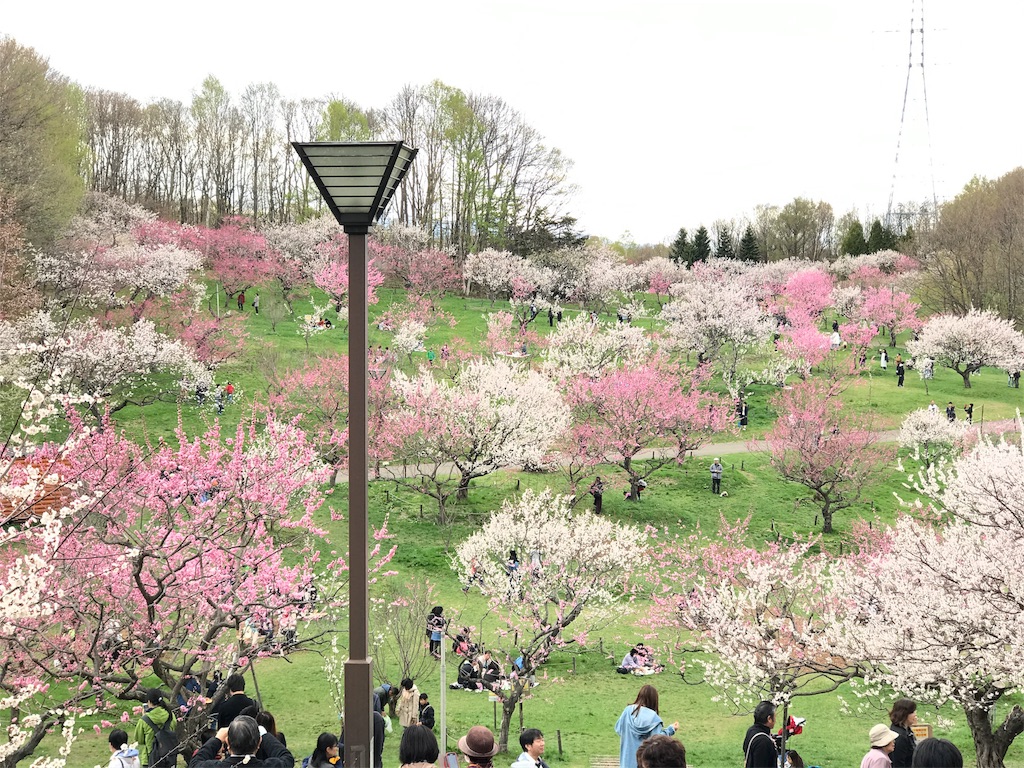 f:id:bellbelona39:20180505172430j:image