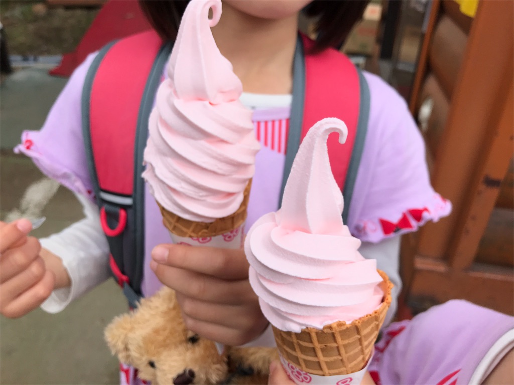 f:id:bellbelona39:20180505172607j:image