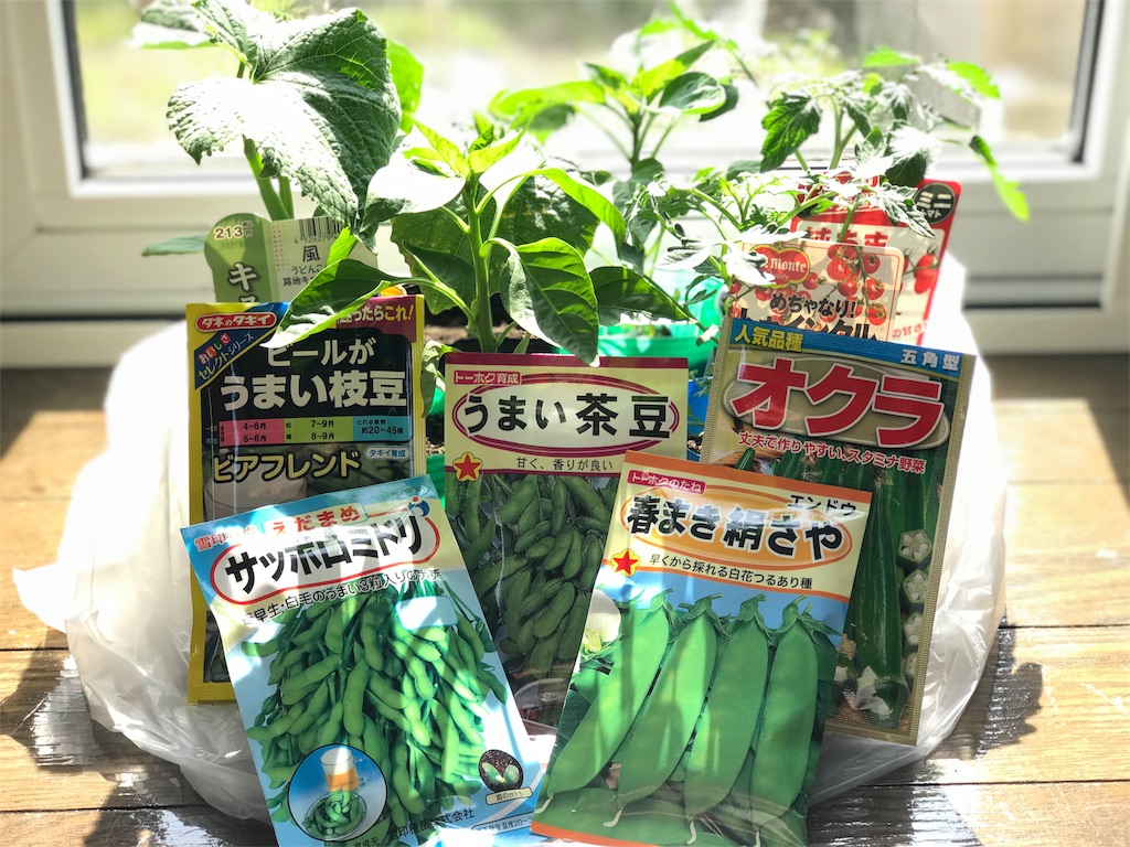 f:id:bellbelona39:20180512154915j:image