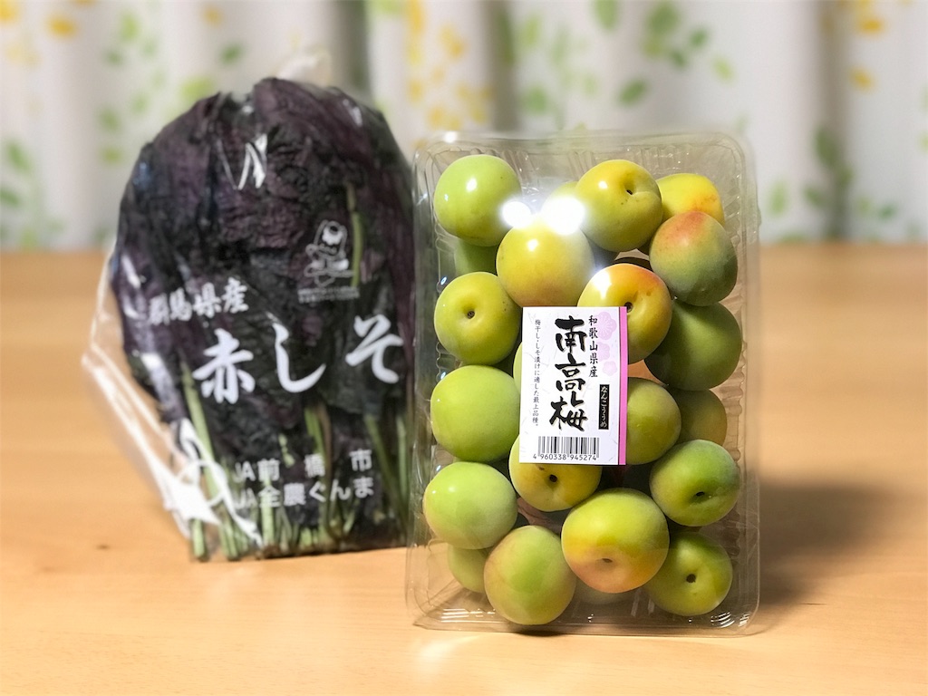 f:id:bellbelona39:20180611003106j:image