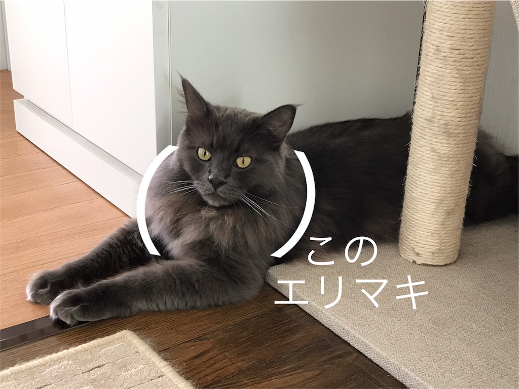 f:id:bellbelona39:20180619094131j:image