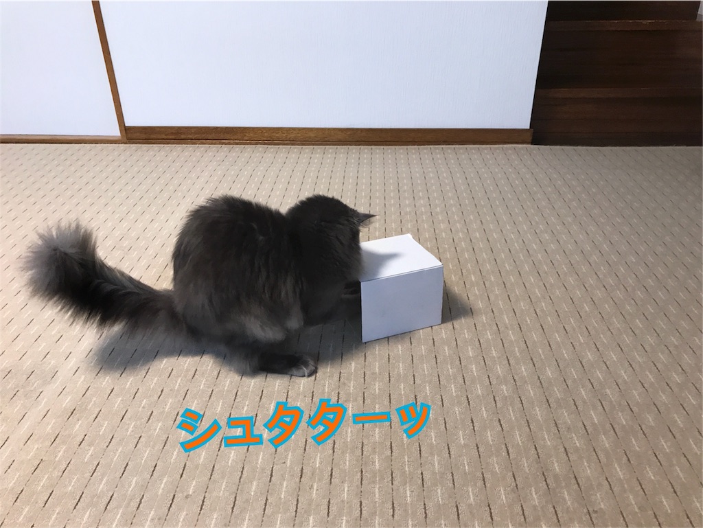 f:id:bellbelona39:20180624220126j:image f:id:bellbelona39:20180624220126j:image