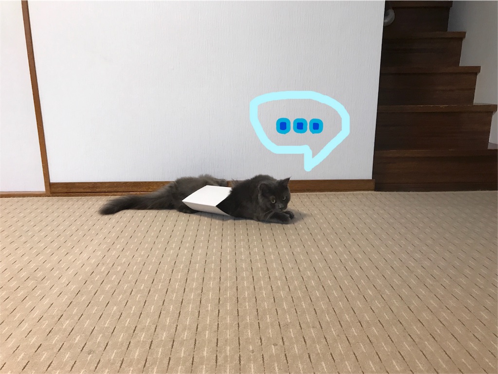 f:id:bellbelona39:20180624220514j:image f:id:bellbelona39:20180624220514j:image