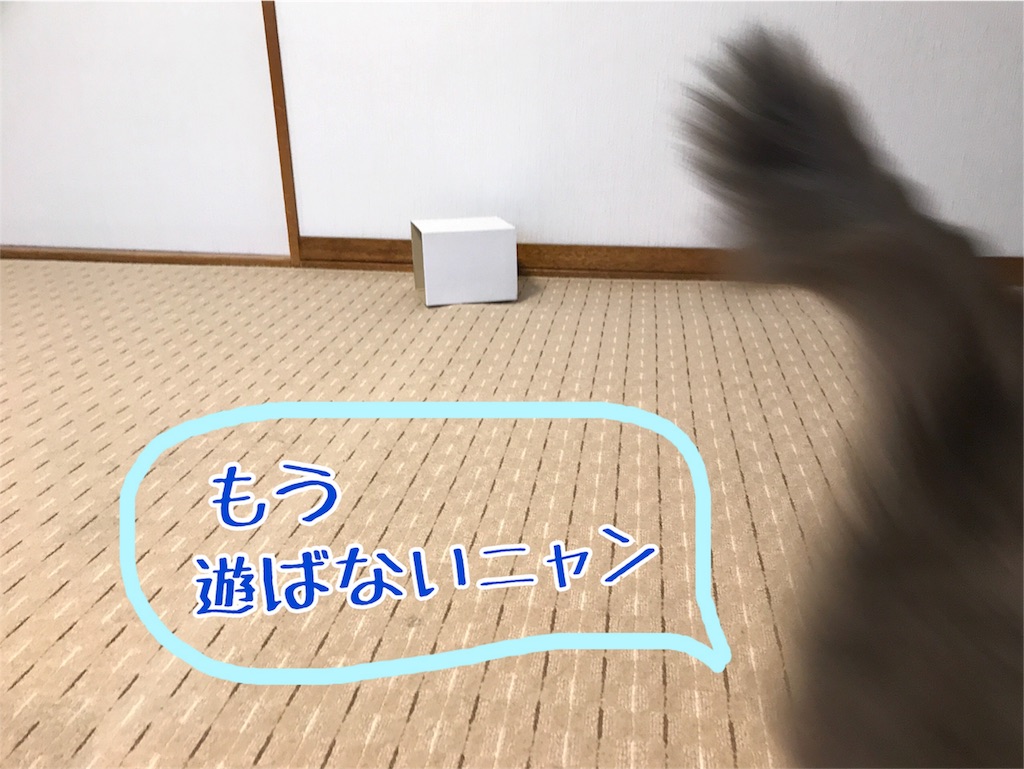 f:id:bellbelona39:20180624220735j:image f:id:bellbelona39:20180624220735j:image