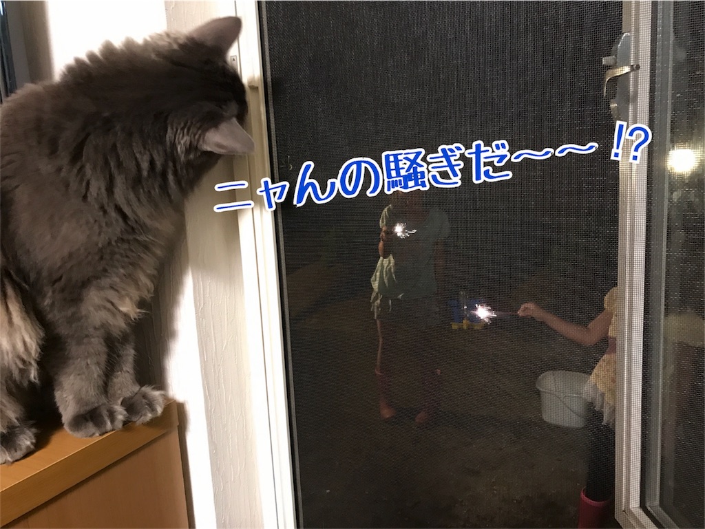 f:id:bellbelona39:20180727203252j:image f:id:bellbelona39:20180727203252j:image