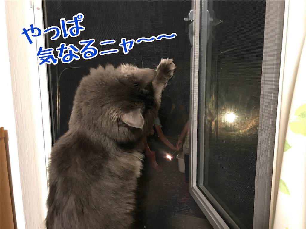 f:id:bellbelona39:20180727203456j:image f:id:bellbelona39:20180727203456j:image