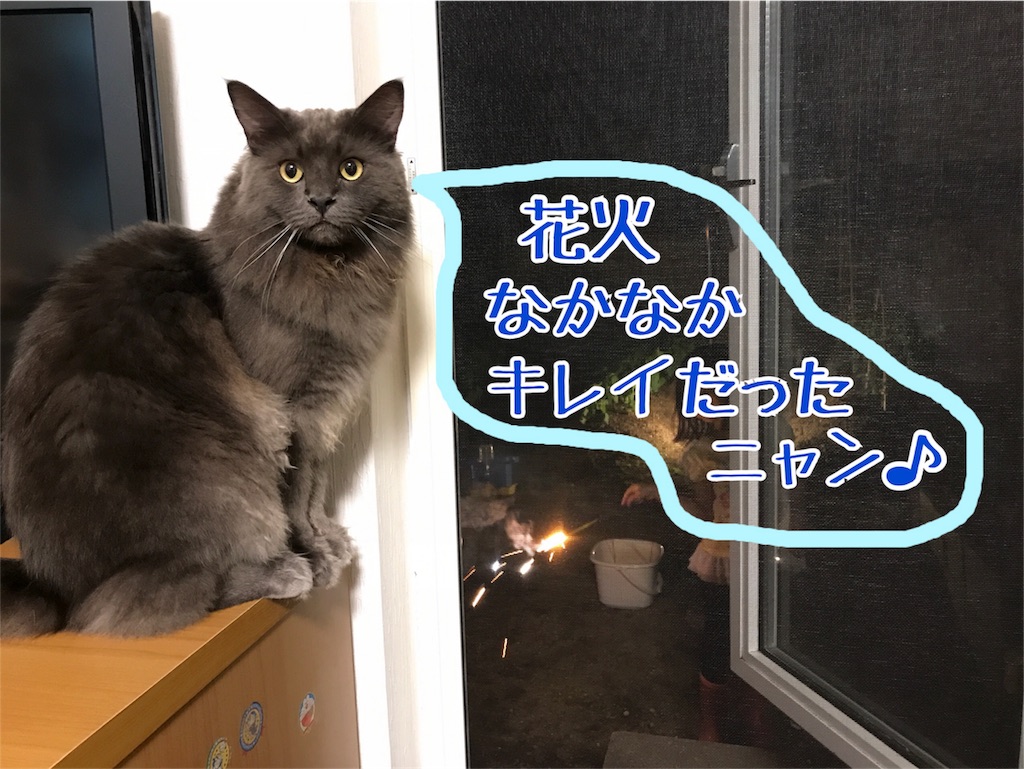 f:id:bellbelona39:20180727203913j:image f:id:bellbelona39:20180727203913j:image