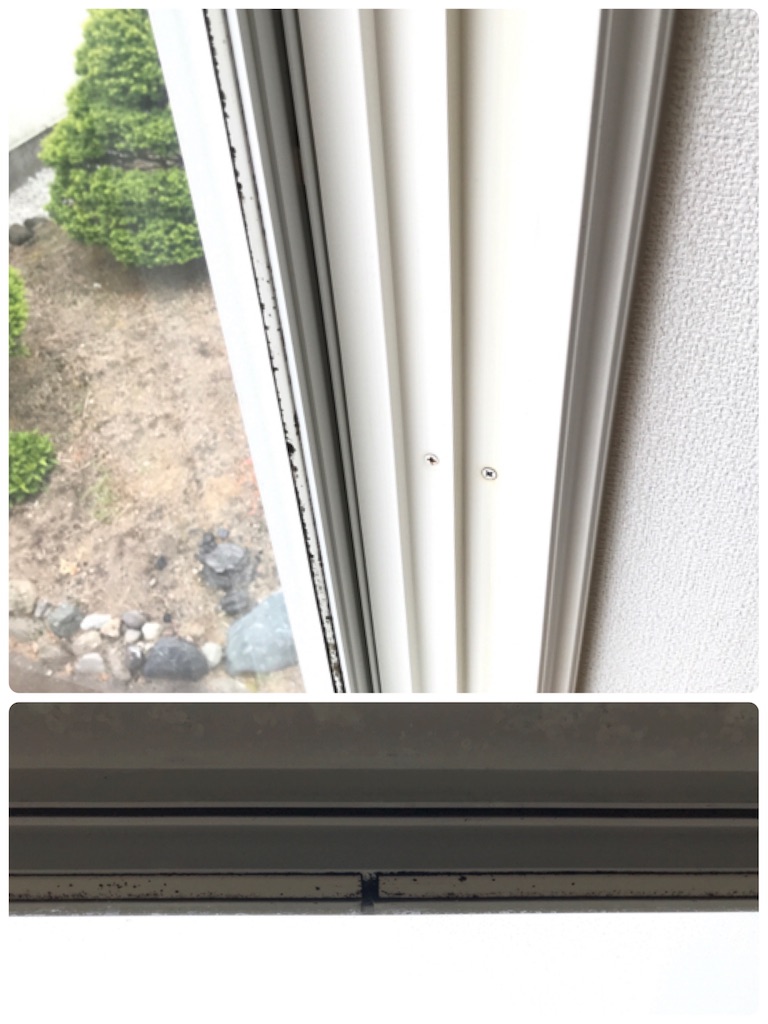 f:id:bellbelona39:20180730171418j:image f:id:bellbelona39:20180730171418j:image