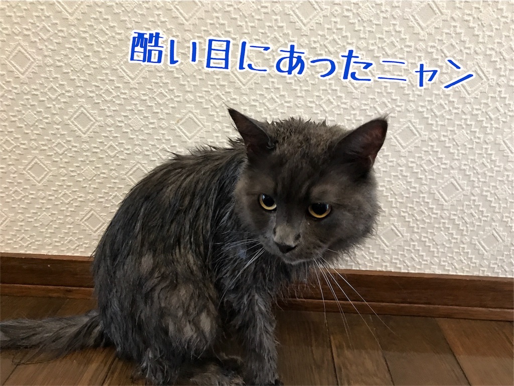 f:id:bellbelona39:20180807150312j:image f:id:bellbelona39:20180807150312j:image