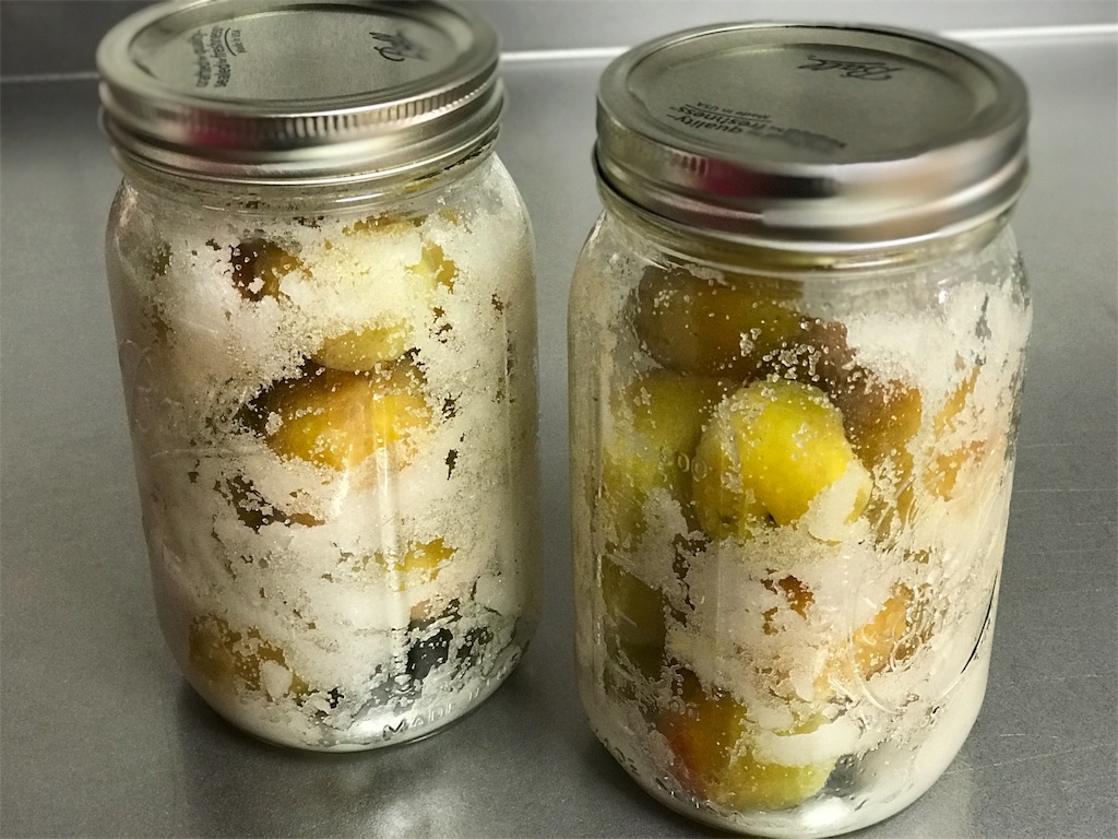 f:id:bellbelona39:20180823131835j:image