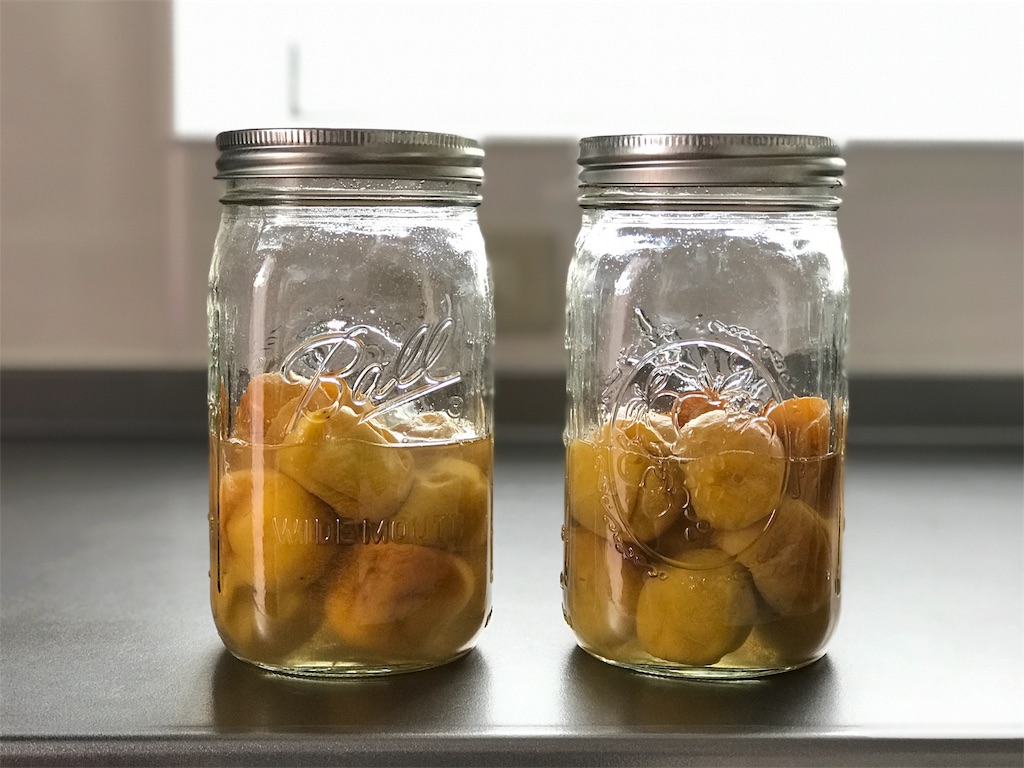 f:id:bellbelona39:20180823132020j:image