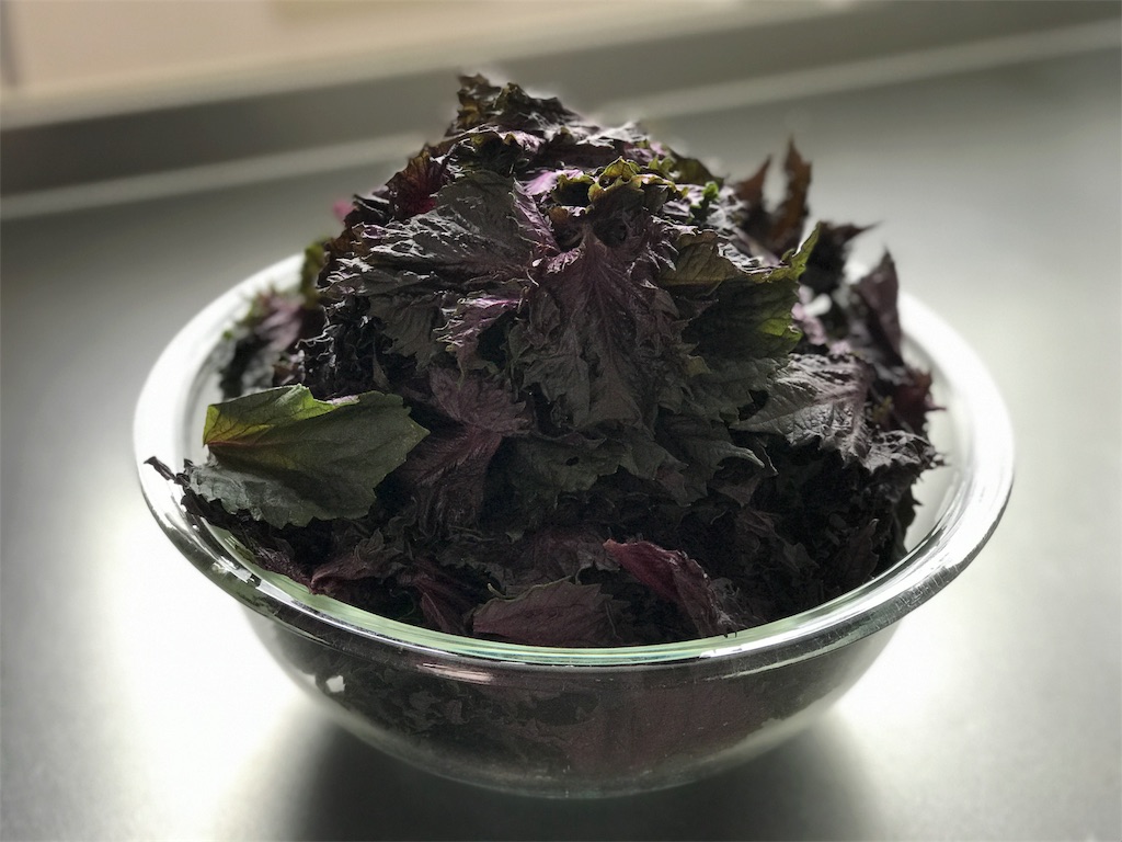 f:id:bellbelona39:20180823132435j:image