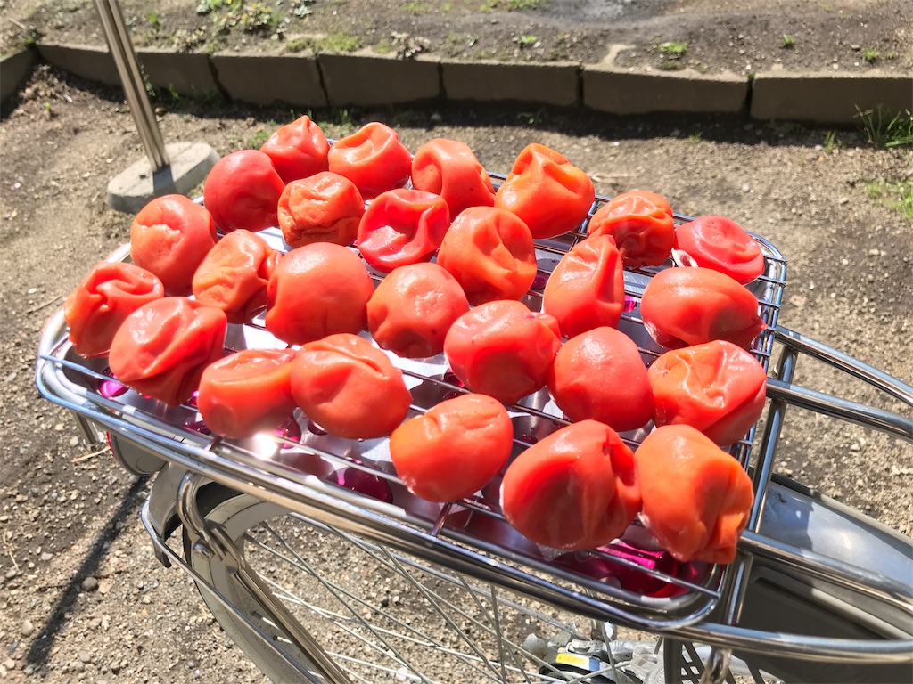 f:id:bellbelona39:20180823134044j:image