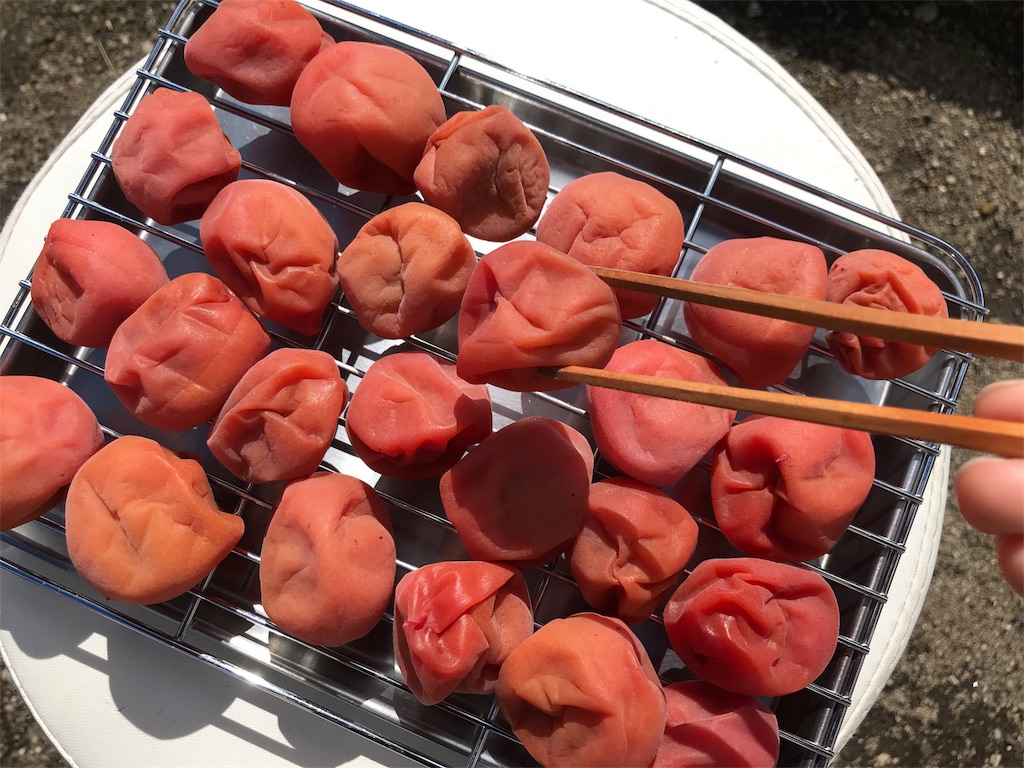 f:id:bellbelona39:20180831153340j:image