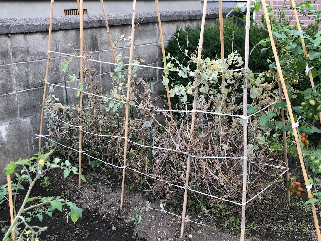 f:id:bellbelona39:20180902200728j:image