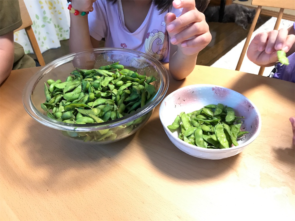 f:id:bellbelona39:20180902212624j:image