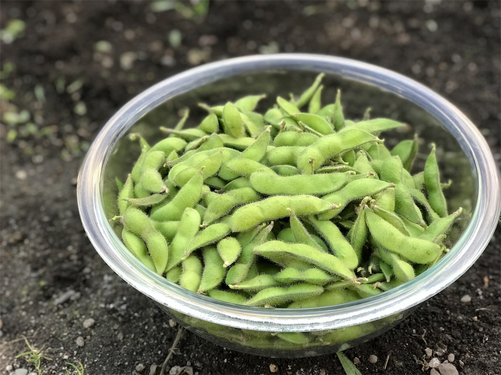 f:id:bellbelona39:20180902213913j:image