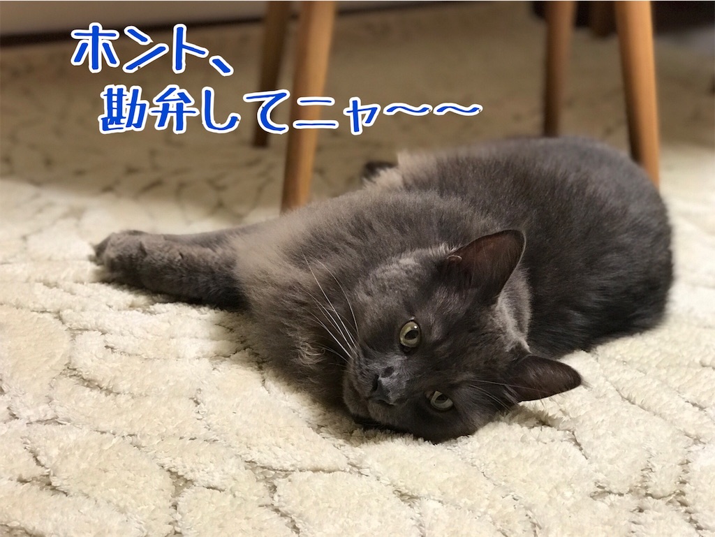 f:id:bellbelona39:20180903221514j:image
