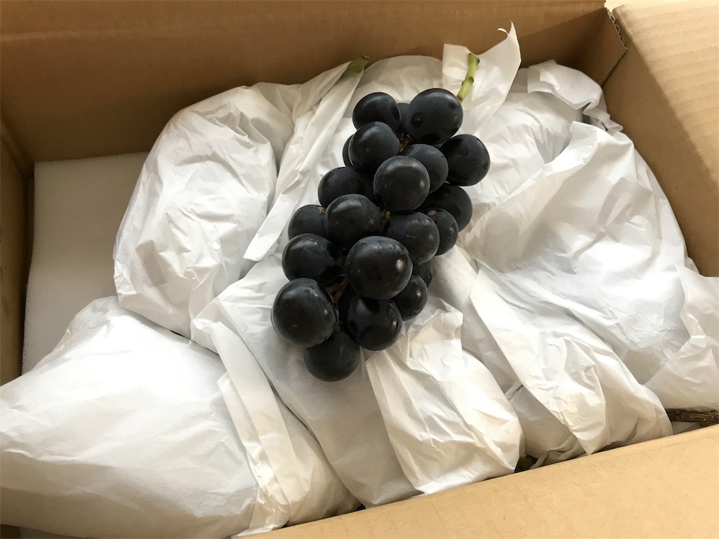 f:id:bellbelona39:20180915170244j:image